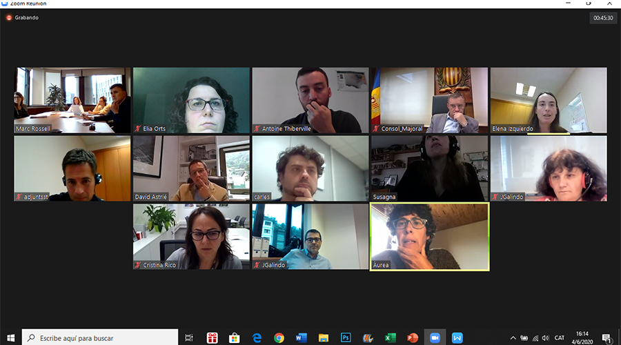 Els membres de la CIV reunits telemàticament