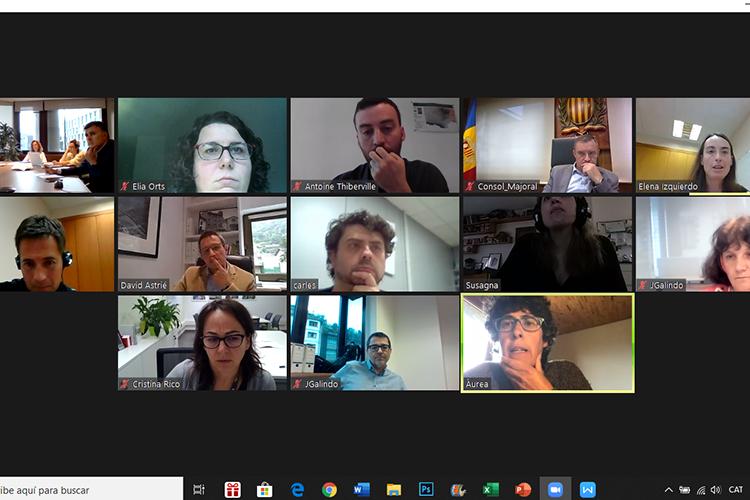 Els membres de la CIV reunits telemàticament