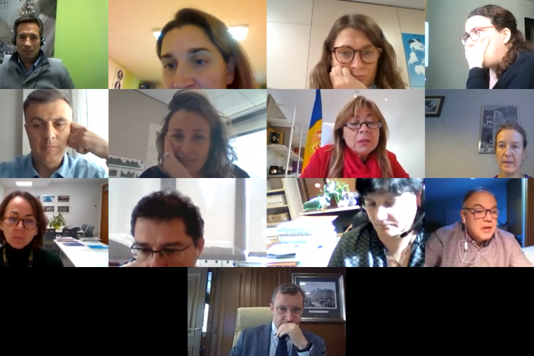 Diferents membres de la Comissió d'Informació i Vigilància en una reunió telemàtica